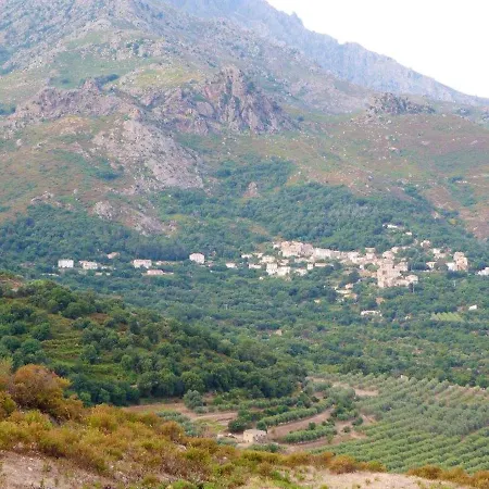 Raffine A - 120 M² Avec Vue Sur Montagne Feliceto