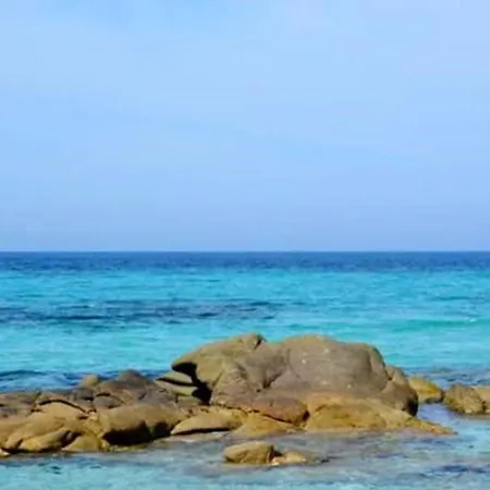 Raffine A - 120 M² Avec Vue Sur Montagne Feliceto