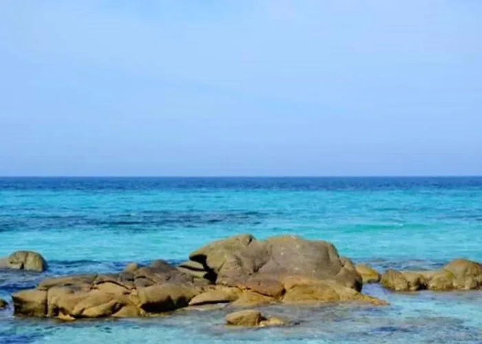 Raffine A - 120 M² Avec Vue Sur Montagne 费里切托